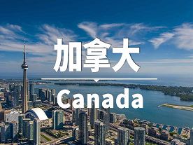 主标题