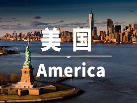 主标题