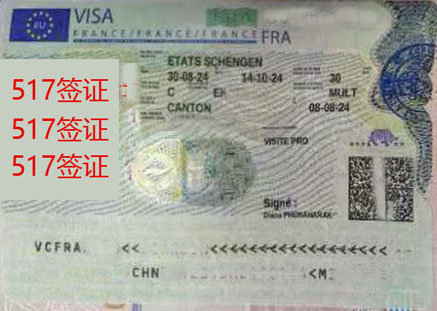 法国签证
